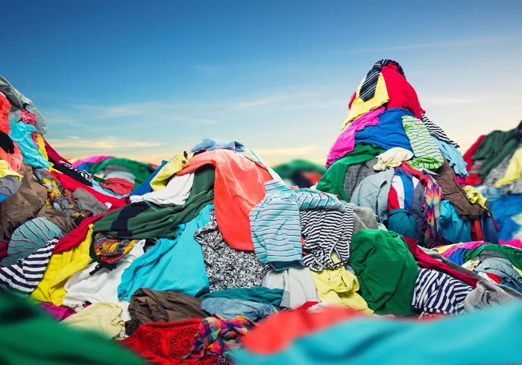 Fabrics and Clothing