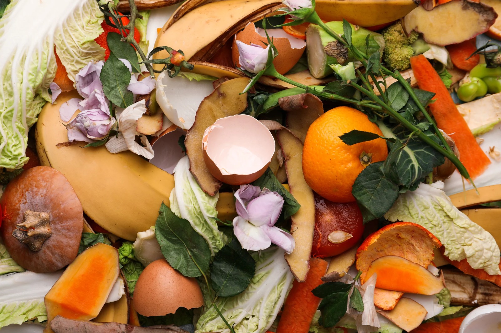 Organic Waste